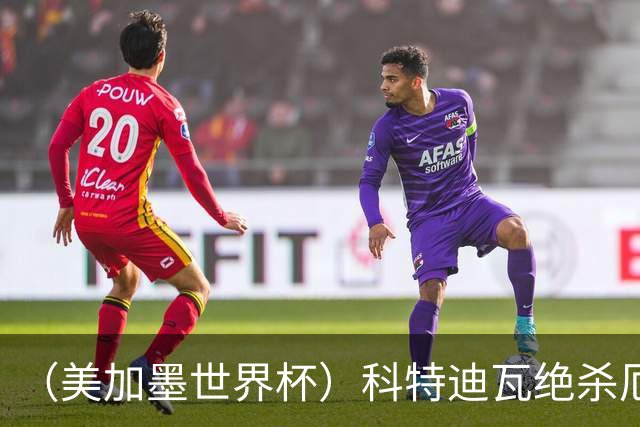 （美加墨世界杯）科特迪瓦绝杀厄瓜多尔 瑞典5:1大胜突尼斯